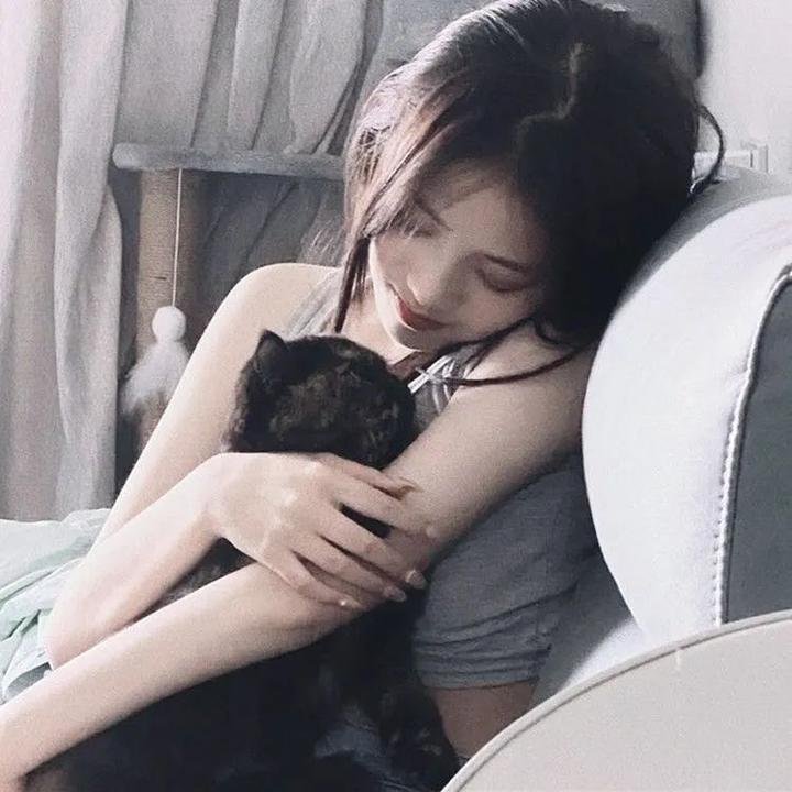 加菲猫:农场大冒险